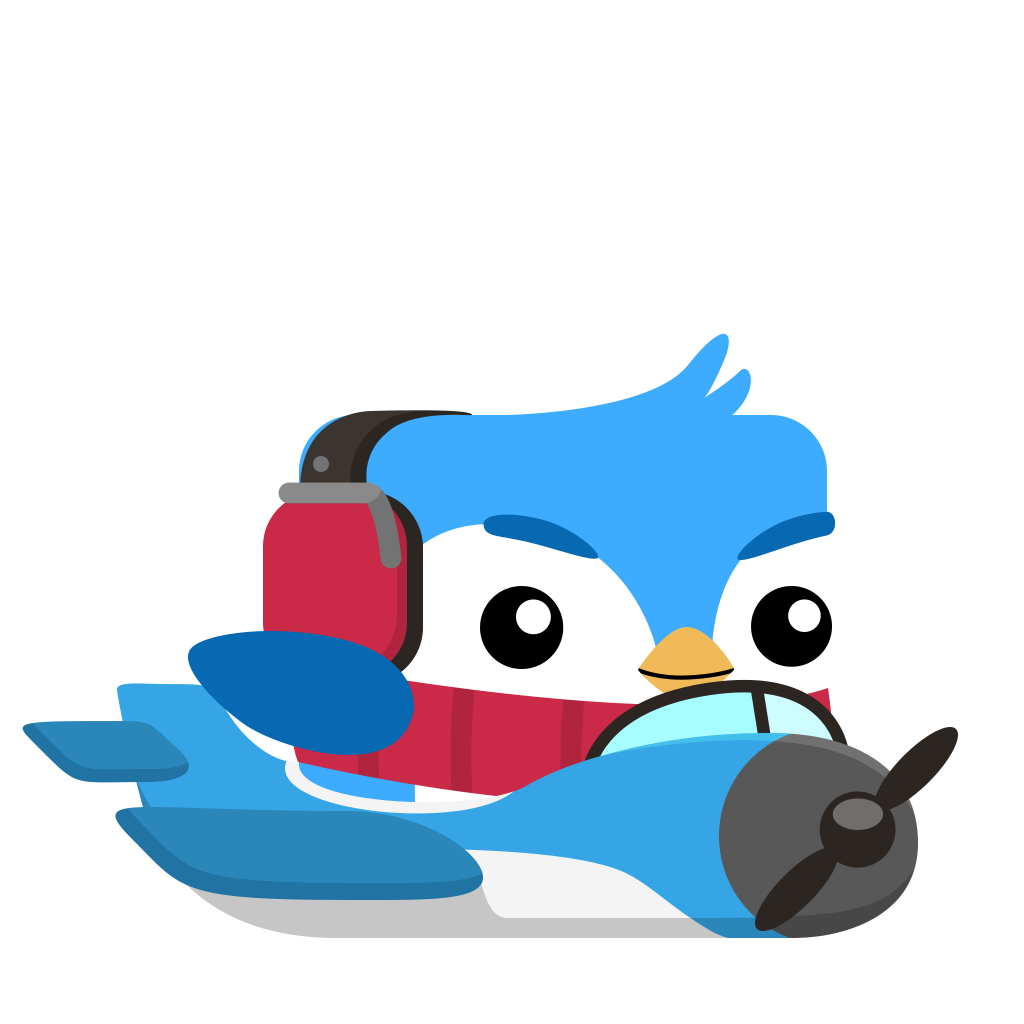 Blue Jay Barry bird